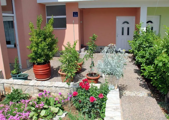 Bura * شيبينيك